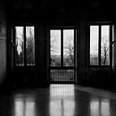 METAFORICI ABBRACCI . % maurifotografoperpassione tarafından hazırlanan Fotoğrafçılık projesi - 09.14.2024