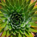 Mi proyecto del curso: Fotografía moderna de naturaleza Lagunas de Siecha , Cundinamarca . Colombia 2024. Een project van Digitale fotografie, Buitenfotografie, Fotografische compositie, Fotografie, Fotografische postproductie y Social media van campuzanojdc81 - 16.09.2024