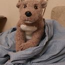 My project for course: Knitting Realistic Stuffed Animals: Make a Puppy from Yarn. Un progetto di DIY, Fiber Art, Maglia e Textile Design di novel20022 - 18.09.2024