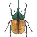 Walter García . Ilustrație tradițională de Walter Garcia - 09.20.2024