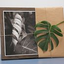 Effimera di natura. Un projet de Créativité, Photographie artistique, Photographie , et Autoportrait photographique de Paolo Menduni - 21.09.2024