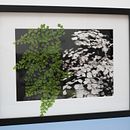 capelvenere. Un projet de Photographie , et Photographie artistique de Paolo Menduni - 21.09.2024