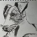 My project for course: Animal Illustration with Charcoal and Ink. Un proyecto de Dibujo, Ilustración con tinta, Ilustración naturalista				 y Bellas Artes de Sharon Tayfield - 22.09.2024