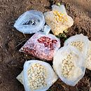 Cuentos infantiles educativos. Un progetto di Podcasting di Eduardo Sánchez Jimenez - 21.09.2024