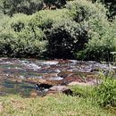 Lo que te conté mientras la cobertura jugaba al escondite . % escr_eativa tarafından hazırlanan Yaratıcı Yazarlık, Kurgu Yazımı, Anlatı, Hika, e anlatımı, Ve Yazma projesi - 09.23.2024