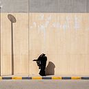 A Gust of Arabian Wind. Photograph project by Tom Mraz - 12.31.2018