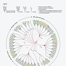 Data visualisation: Placenta: A natural, physiological third stage of labour. Design gráfico, Infografia, Design de informação, e Design interativo projeto de jilke - 27.09.2024