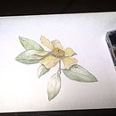 My project for course: Illustrating Nature with Watercolor and Pen. Un projet de Illustration botanique, Dessin, Beaux Arts, Illustration traditionnelle, Peinture , et Aquarelle de Wendy Allison - 28.09.2024