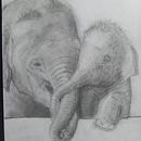 Mein Abschlussprojekt für den Kurs: Realistische Tierbilder in Graphitstift. Desenho, Artes plásticas, Ilustração naturalista, Desenho a lápis, e Desenho realista projeto de moya_ayana - 28.09.2024