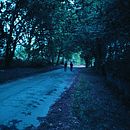 La serenidad de caminar por el camino de Santiago desde Lugo a Santiago de Compostela. Projekt z dziedziny Animacje 2D i Fotografowanie smartfonem użytkownika Álvaro Lugo Acosta - 29.09.2024
