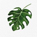 Digital Watercolour . Digital Painting, and Digital Drawing project by Joice Sharp - 10.01.2024