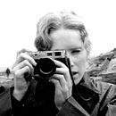 Tarot de Ingman Bergman. Un projet de Conception de produits , et Conception de produits numériques de Andrea Cay - 03.10.2024