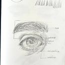 Mi proyecto del curso: Dibujos con acuarela: cómo pintar ojos expresivos. Projekt z dziedziny  Sztuki piękne,  Malarstwo, Portret i Malowanie akwarelą użytkownika Patricia Archila - 04.10.2024