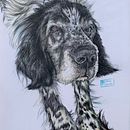 Mi proyecto del curso: Retratos de Mascotas en Lápices de Colores. Traditional illustration, and Naturalistic Illustration project by Francisco Aguilar Grande - 10.03.2024