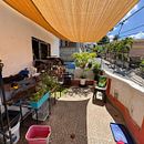 Mi proyecto del curso: Diseño de espacios verdes para tu casa. Un proyecto de Diseño floral, vegetal, Paisajismo y Diseño de espacios de milagrosgrullon0 - 03.10.2024