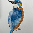 Mi proyecto del curso: Ilustración naturalista de aves con acuarela. Desenho realista, Ilustração tradicional, Pintura em aquarela e Ilustração naturalista projeto de Jorge Javier Cruz Florín - 07.10.2024