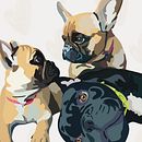 ilustracion mascota. Un proyecto de Ilustración digital e Ilustración tradicional de javierapalmaibaceta - 08.10.2024