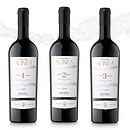 Alineà. Design, Br, ing, Identit, Graphic Design, and Packaging project by Pere Pagà - 10.09.2024