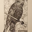 Il mio progetto del corso: Illustrazione realistica di uccelli con elementi di fantasia. Drawing, Ink Illustration, Naturalistic Illustration, and Pencil Drawing project by MARTA USAI - 10.09.2024