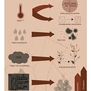 My project for course: Visual Storytelling Through Infographics . Digital Illustration, Graphic Design & Infographics project by Emilie Etoundi - 10.11.2024