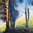 Pine trees in the evening sun close to my swimming spot (in central Stockholm) Ein Projekt aus dem Bereich Aquarellmalerei von Ola Gustafsson - 15.10.2024