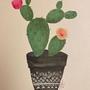 My Acrylic paintings  Ein Projekt aus dem Bereich Traditionelle Illustration von Safinaz Osman - 16.10.2024