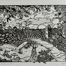 My project for course: Dip Pen and Ink Illustration: Capturing The Natural World. Un proyecto de Dibujo artístico, Dibujo, Ilustración con tinta, Ilustración naturalista				, Sketchbook y Bocetado de staceywright2009_1 - 20.10.2024
