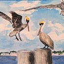Pelicans on the Florida Coast. Pintura em aquarela projeto de Greg Garbinsky - 21.10.2024