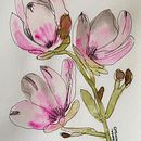 Beginnings - Quelques essais de débutante (Spring - Printemps 2023) . Een project van Aquarelschilderen y Traditionele illustratie van Kenza Bennani - 21.10.2024