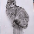 Il mio progetto del corso: Disegno espressivo al carboncino. Projekt z dziedziny  R, sunek,  Sztuki piękne, Portret, Ilustracja naturalist i czna użytkownika valeria_b - 22.10.2024