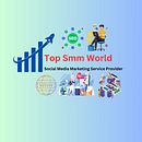 TopSmmWorld - Top Quality Social Service Provider. Advertising, and Automotive Design project by TopSmm World - 10.23.2024