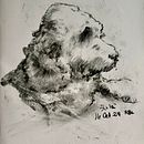 My project for course: Animal Illustration with Charcoal and Ink . % Rhonda Langham tarafından hazırlanan Çizim, Mürekkep İllüstras, onu, Doğalcı İllüstras, on, Ve Güzel sanatlar projesi - 10.22.2024