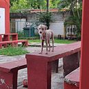 Mi proyecto del curso: Creación de video con smartphone para redes sociales Ein Projekt aus dem Bereich Kino, Kino, Video und TV, Audiovisuelle Produktion, Instagram, Fotografie für Instagram, Smartphonefotografie, Social Media, Video und Traditionelle Illustration von Keyla Edith - 26.10.2024