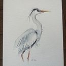 My project for course: Naturalist Watercolor with Expression and Personality. Un progetto di Illustrazione tradizionale, Illustrazione naturalistica e Pittura ad acquerello di Lisi Van Zyl - 28.10.2024