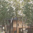 Mi proyecto del curso: Render y collage digital para visualización arquitectónica. Projekt z dziedziny 3D,  Architektura, Architektura c, frowa,  Projektowanie 3D i Wizualizacja architektoniczna użytkownika Omar Cuellar - 28.10.2024