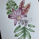 Mi proyecto del curso: Técnicas artísticas para ilustración naturalista. Acr, lic Painting, Traditional illustration, Watercolor Painting, Botanical Illustration, Colored Pencil Drawing & Ink Illustration project by Isabel Quiroga Castro - 10.31.2024