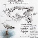 Mon projet du cours : Carnet de voyage à l’aquarelle. Un proyecto de Ilustración tradicional, Ilustración arquitectónica, Pintura a la acuarela y Sketchbook de Claire Poyet - 31.10.2024