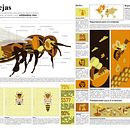 Mi proyecto del curso: Diseño de infografías para periódicos y revistas. Design gráfico, Infografia, Design de informação, e Design interativo projeto de Mónica Usquiano Sánchez - 02.11.2024