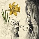 Narcisus . Projekt z dziedziny Ilustracje dla dzieci, R, sunek botaniczn, Portret, Ilustracja naturalist, czna, Ilustracja w i dawnicza użytkownika Marina Wild - 03.11.2024