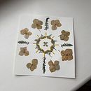 My project for course: Colorful Herbarium from A to Z. Artesanato, Colagem, DIY, Artes plásticas, e Design floral e vegetal projeto de pearl_pamela - 06.11.2024