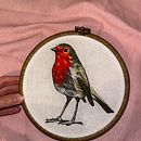 My project for course: Painting with Thread: Textile Illustration Techniques. Embroider, Traditional illustration, and Textile Design project by Stefania Mercuri - 11.06.2024