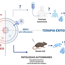 Identificación de Biomarcadores para Células Madre Mesenquimales. Un projet de Conseil créatif, Gestion de la conception, Intelligence Artificielle, ChatGPT, Business , et Gestion et productivité de MONICA KURTE - 07.11.2024