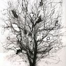 This is a drawing of a tree; a beautiful oak tree from beside my university.. Een project van  Artistieke tekening van s_ni_artaigh - 07.11.2024