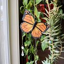 Polymer Clay Monarch Butterfly Clay Cane. Arts, and Crafts project by Brianca Thornton (Bellis Botanicals) - 11.08.2024