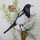 Mi proyecto del curso: Acuarelas: arte realista de aves y naturaleza. Drawing, Fine Arts, Naturalistic Illustration, Pencil Drawing, Realistic Drawing, and Watercolor Painting project by Constanza Herrera erber - 11.09.2024