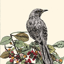 Sinsonte (Segundo Proyecto). Drawing, Realistic Drawing, Traditional illustration, and Naturalistic Illustration project by pinmobiliariosmiloteya - 11.10.2024