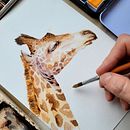 Mi proyecto del curso: Ilustración realista en acuarela de la vida salvaje. Projekt z dziedziny  Sztuki piękne, Ilustracja naturalist, czna,  Malarstwo i Malowanie akwarelą użytkownika Mariana Saife - 10.11.2024