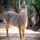 Fotos con Nikon Z50 en Manual. Proyecto del curso: Introducción a la fotografía digital. Un progetto di Fotografia e Fotografia digitale di Keisy Arteaga Molina - 01.11.2024