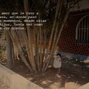 Proyectos varios. Een project van  Ontwerp van Adriana Nonajulca Carreño - 11.11.2024