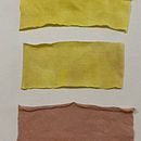 Mi proyecto del curso: Prendas naturales: diseño sostenible y tintura botánica. Un proyecto de Artesanía, DIY, Diseño textil y Teñido Textil de Monica Palma - 15.11.2024
